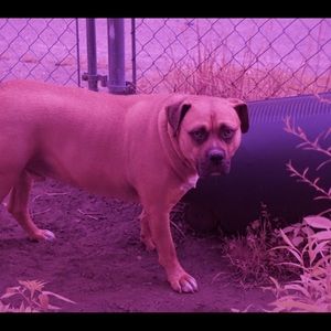 Meet your Posher, Don